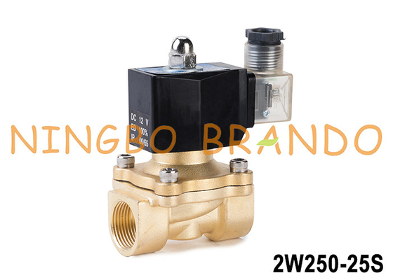 2W250-25 1'' 2 Way Normalnie zamknięty Płytkowy zawór wodny 24V 220V