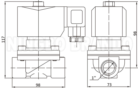 2W250-25 1'' 2 Way Normalnie zamknięty Płytkowy zawór wodny 24V 220V