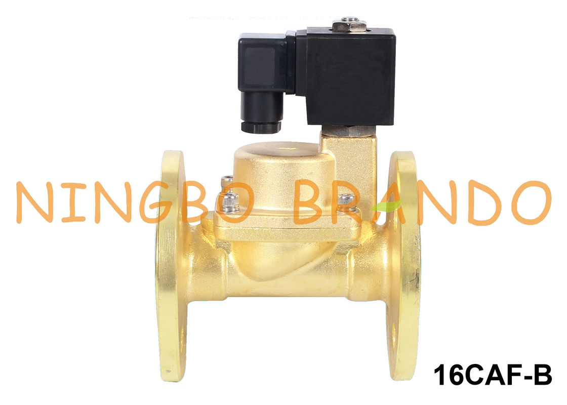 24V 220V mosiężny zawór elektromagnetyczny Steam 1 &amp;#39;&amp;#39; 1-1/4 &amp;#39;&amp;#39; 1-1/2 &amp;#39;&amp;#39; 2 &amp;#39;&amp;#39; Koniec kołnierza