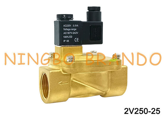 Airtac Typ 2V250-25 2-drogowe zawory elektromagnetyczne Zawory powietrzne AC220V 110V DC12V 24V